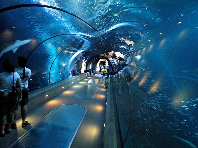 Oregon Coast Aquarium